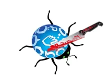 katay.webp