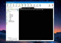 1.webp 1.webp