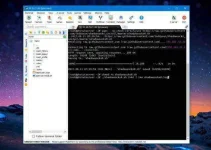 4.webp 4.webp