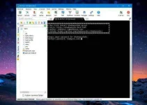5.webp 5.webp