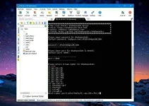 7.webp 7.webp