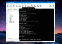 10.webp 10.webp