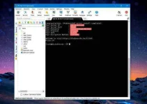 11.webp 11.webp