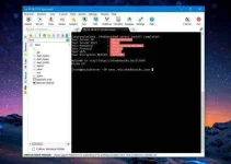 12.webp 12.webp