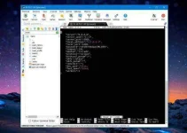 13.webp 13.webp