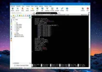 14.webp 14.webp