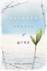 Between-shades-of-gray.webp