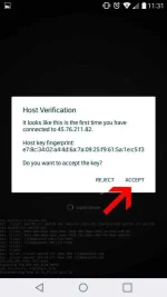11.webp 11.webp