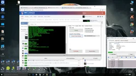 iris 810.webp
