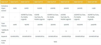 Gaansurf.webp