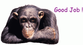 funny-gorilla-animation-funny-gif.gif