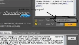 disc.webp