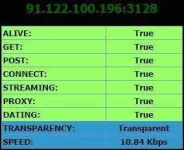 7.webp