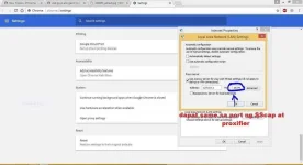 Chrome setting up SScap at Proxifier.webp