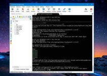 11.webp 11.webp