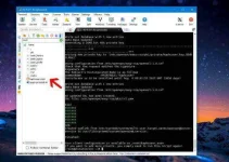 13.webp 13.webp