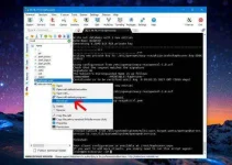 14.webp 14.webp