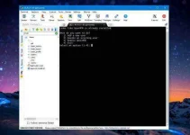 15.webp 15.webp