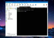 16.webp 16.webp