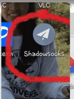Screenshot_2017-09-15-12-09-25.webp