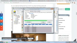 slow.webp