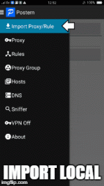 Import_Local.gif