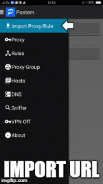 Import_URL.gif