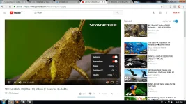 hsq4jnw7.webp