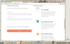 squid.webp