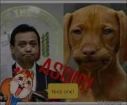 TMPDOODLE1506176825330.webp