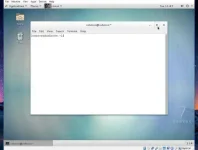 17.webp