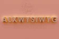 3_D_ALXWYSIWYG.webp