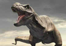 T-REx-483439.webp