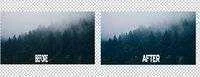 320972_10.webp