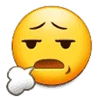 anguished-face_1f627.webp