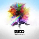 zedd-true-colors.webp