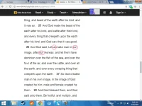 phcsssasss.webp phcsssasss.webp