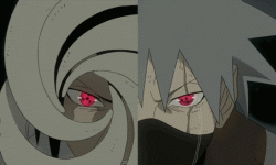 444a14e70d933525d0b2477681cb03a3.gif