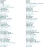 3.webp