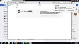 5ds85t.webp