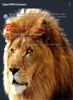 _20171006_213631.webp