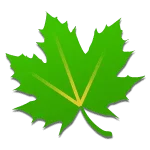 unnamed-19.webp