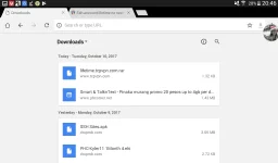 Screenshot_2017-10-10-20-46-01.webp