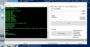 5.webp
