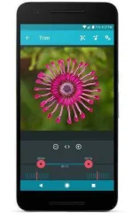 andro.webp