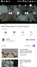 Screenshot_2017-10-12-09-51-05.webp