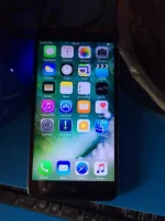 22405466_1241403239292546_1926478125073667615_n.webp