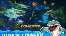 hungrysha.webp