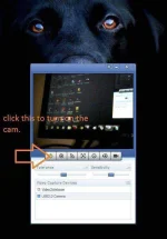 cam1.webp cam1.webp