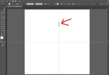 step2.webp